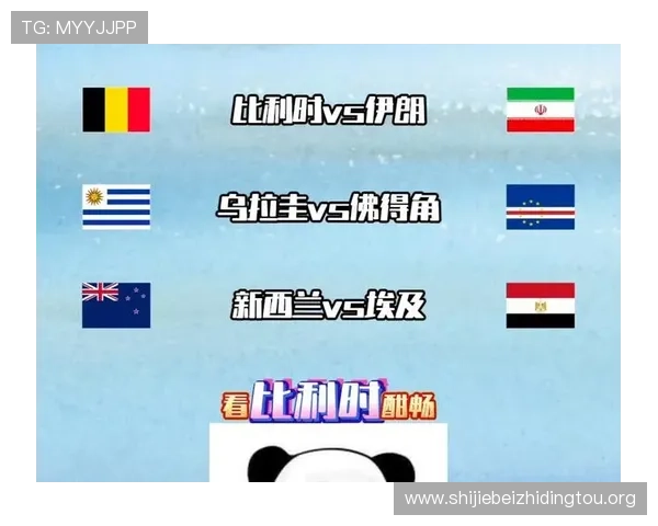 世界杯伊朗对比利时中场对抗：战术分析与比赛影响深度解读